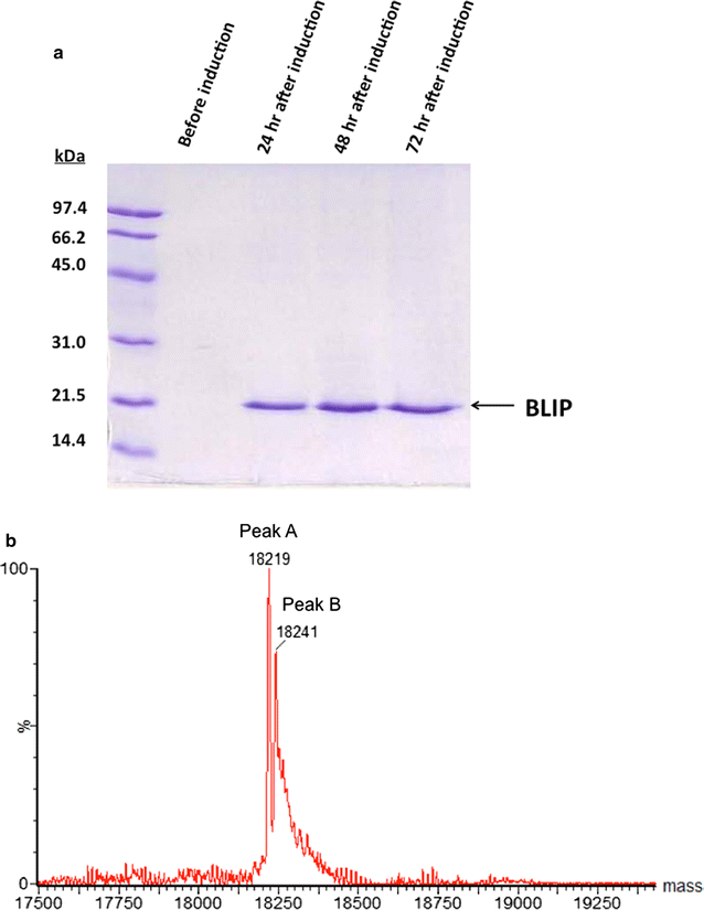 Fig. 3