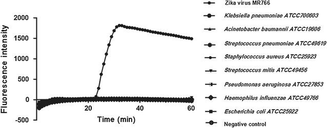 Fig. 6