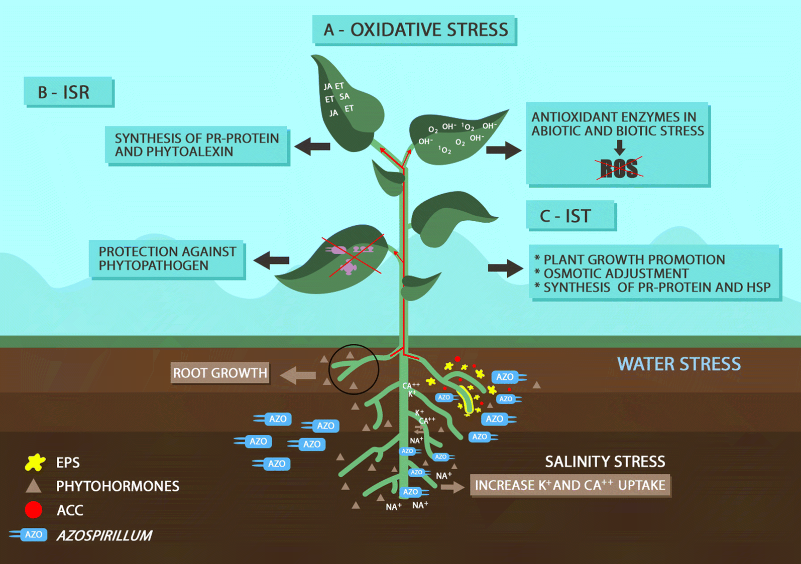 Fig. 1