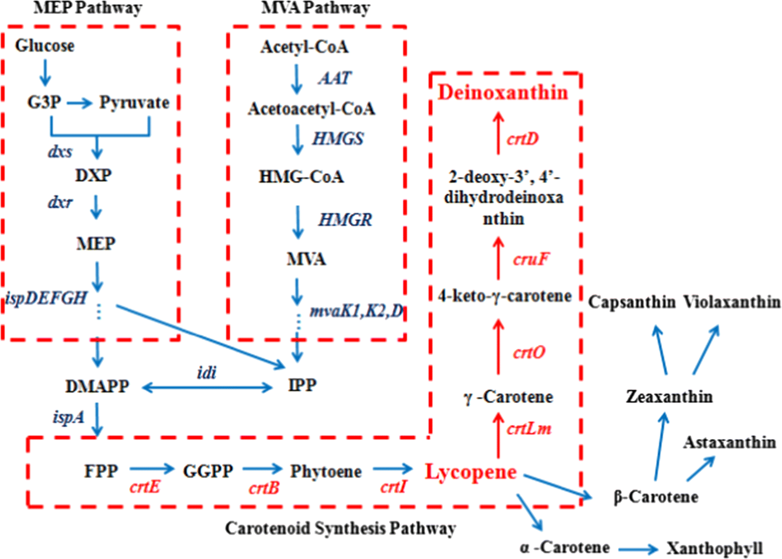 Fig. 1