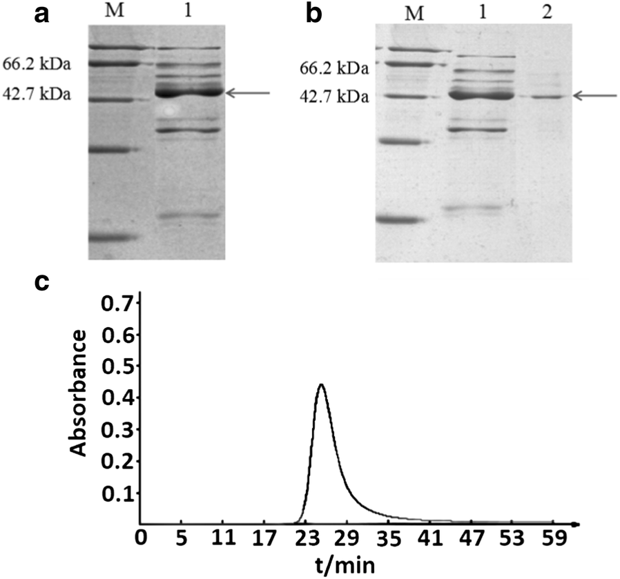 Fig. 3