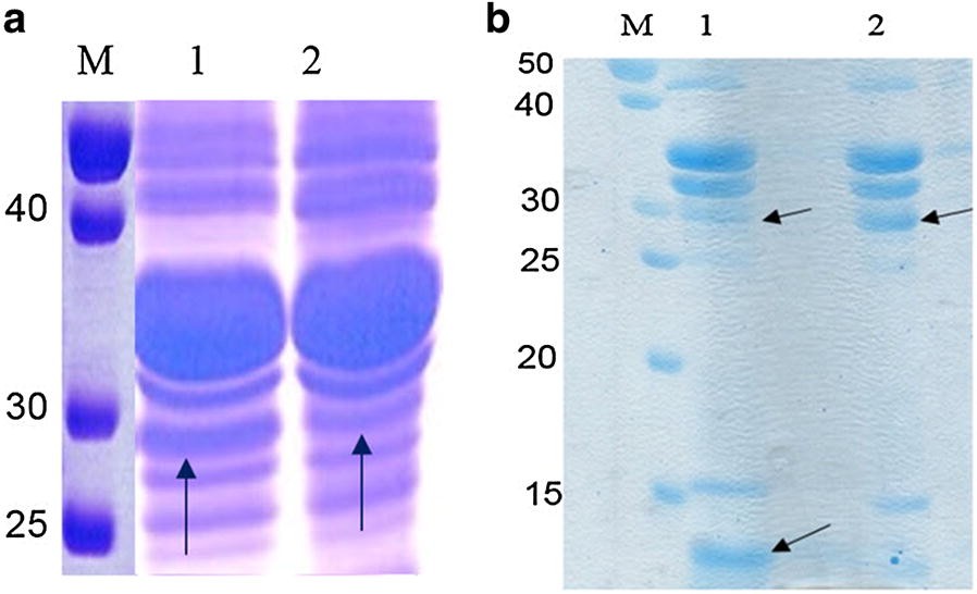 Fig. 5