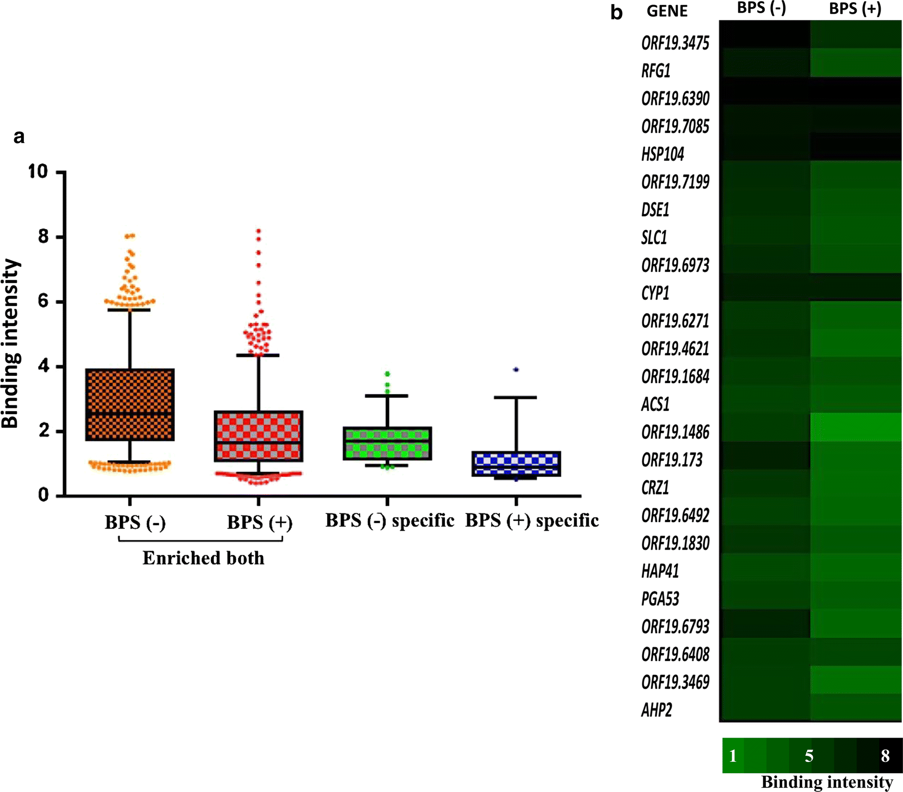 Fig. 6