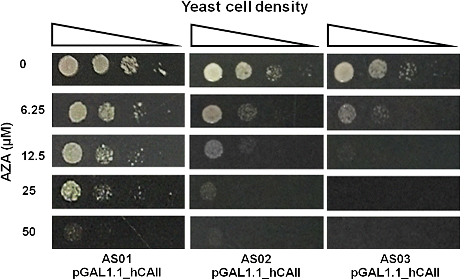 Fig. 2