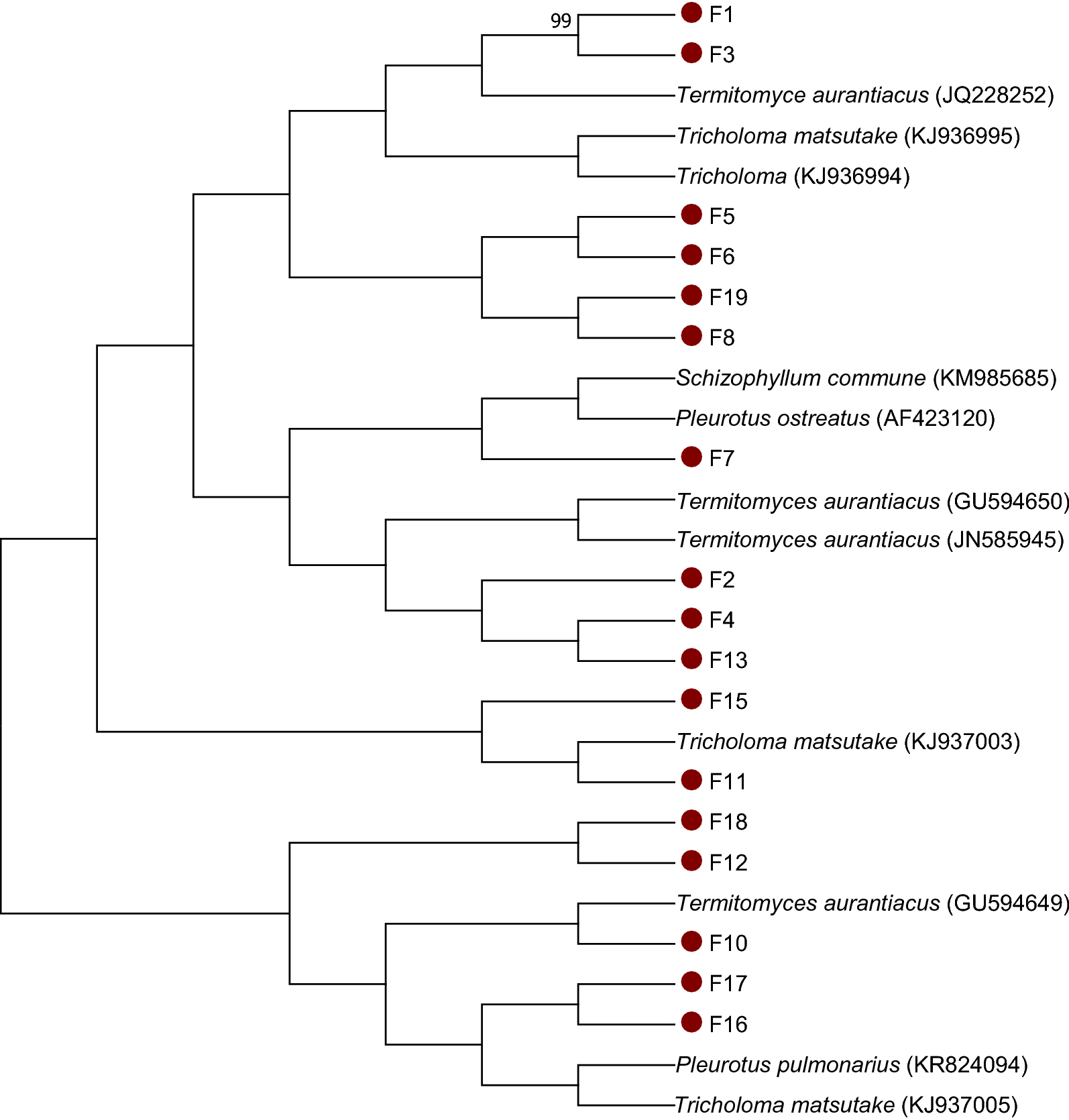 Fig. 3