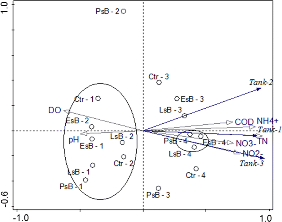 Fig. 6