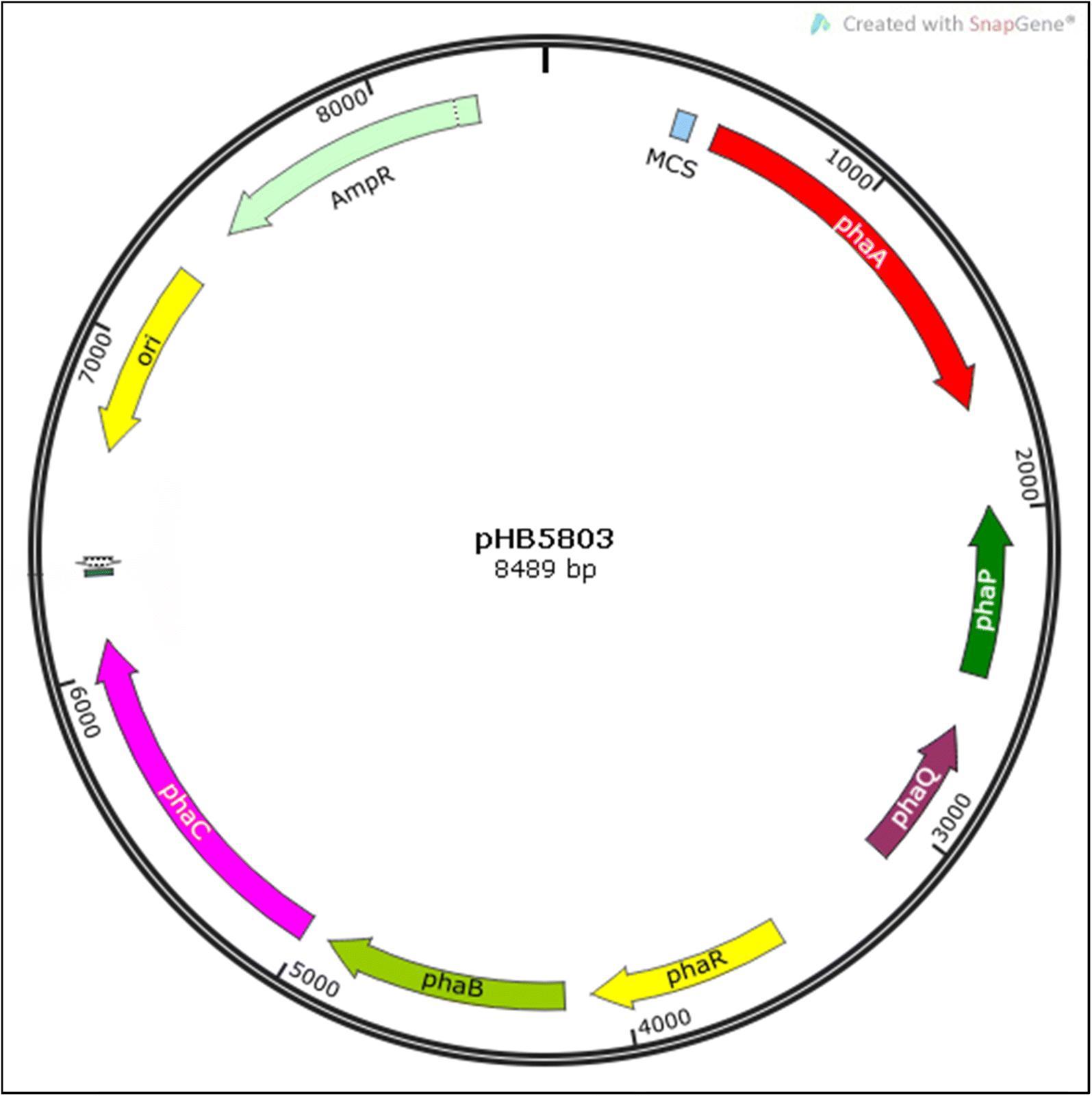 Fig. 1