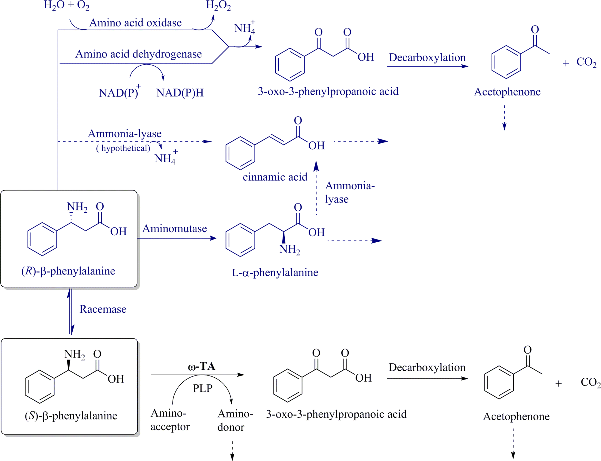 Fig. 4