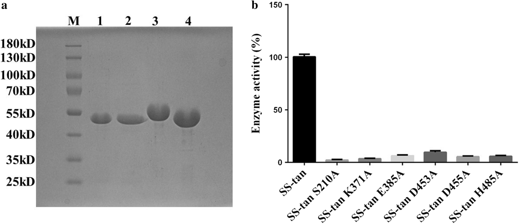 Fig. 2