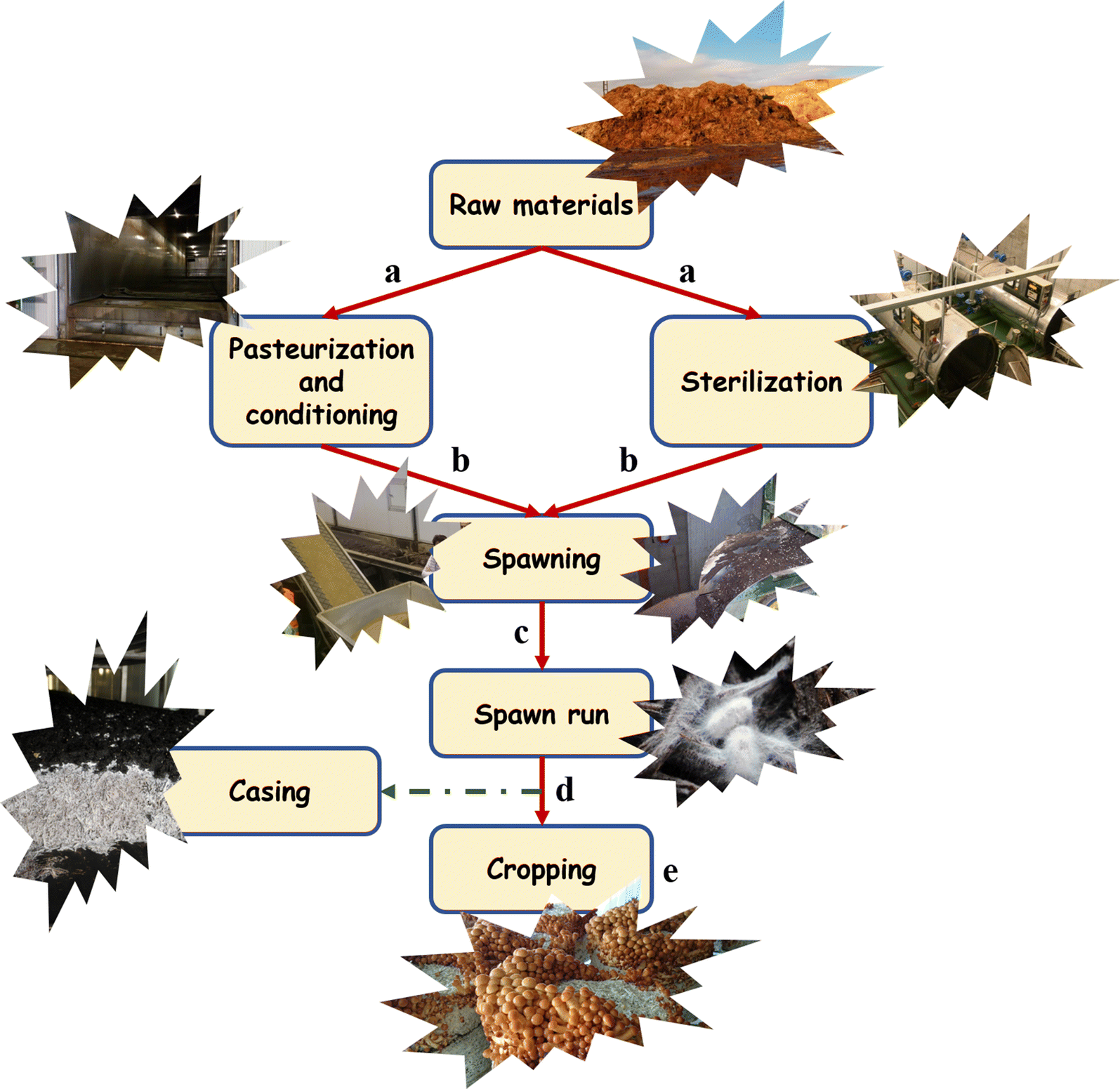 Fig. 1