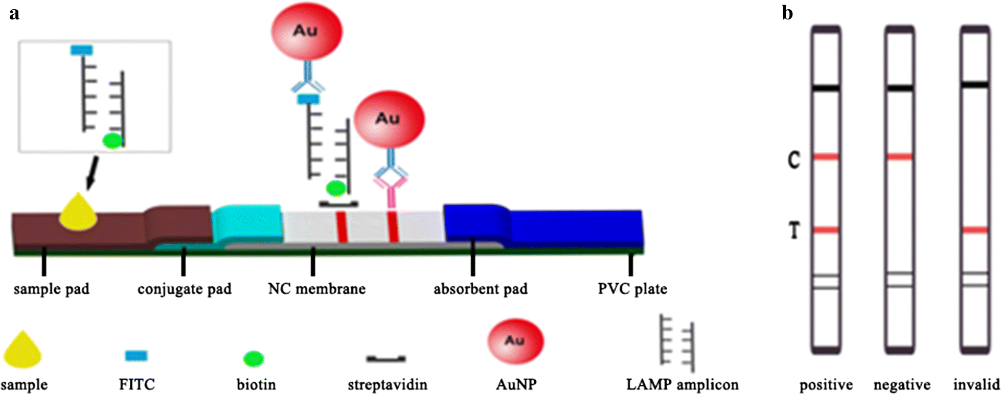 Fig. 1