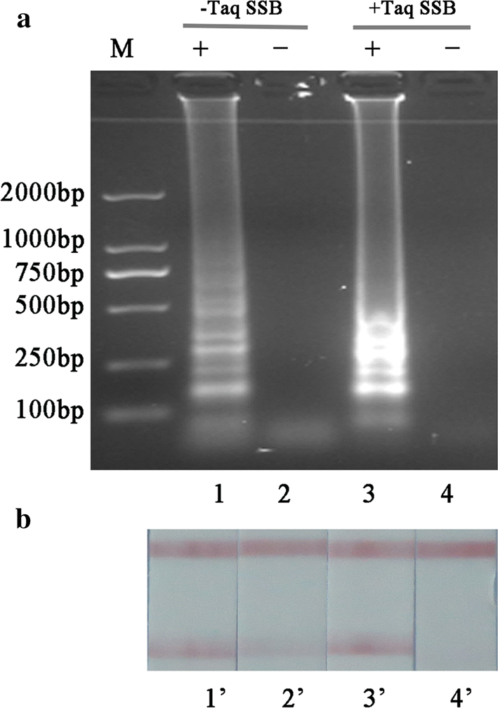 Fig. 4