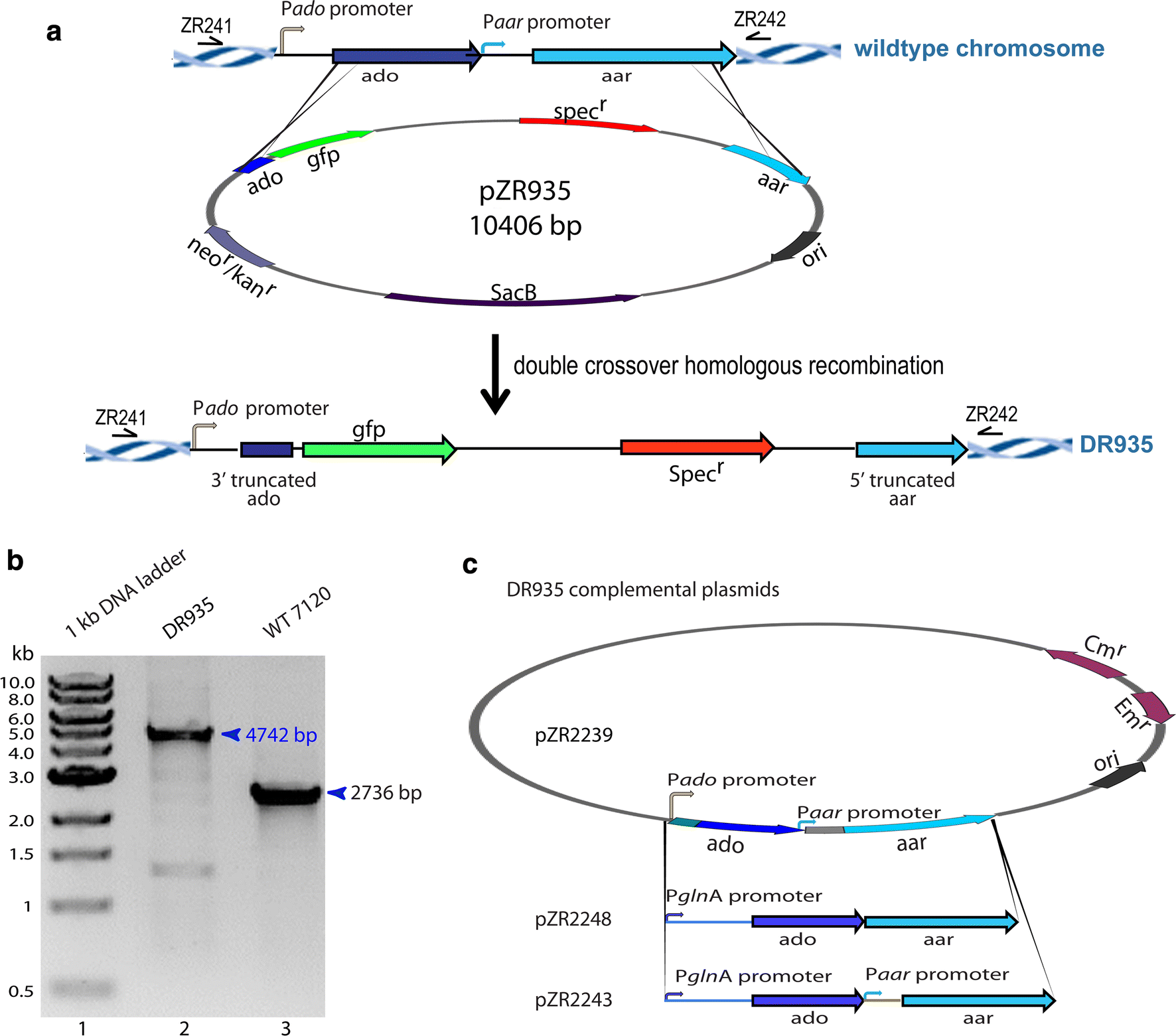 Fig. 3