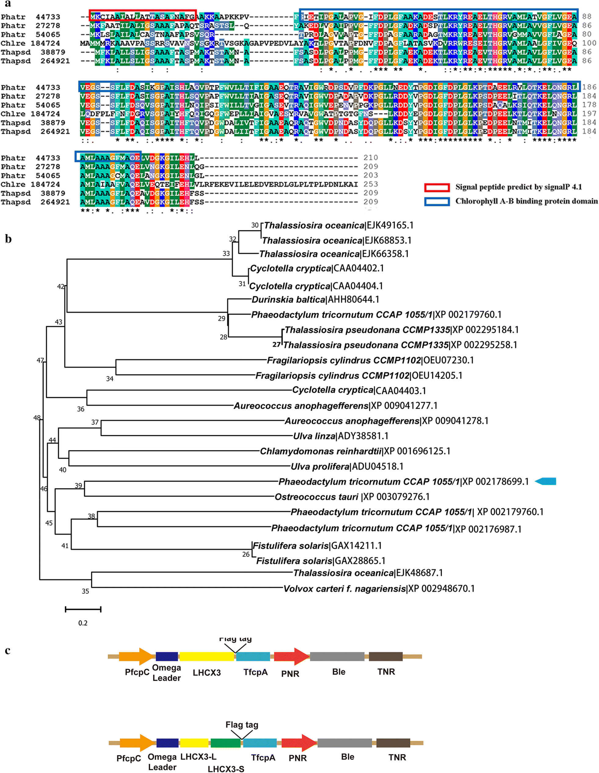 Fig. 1