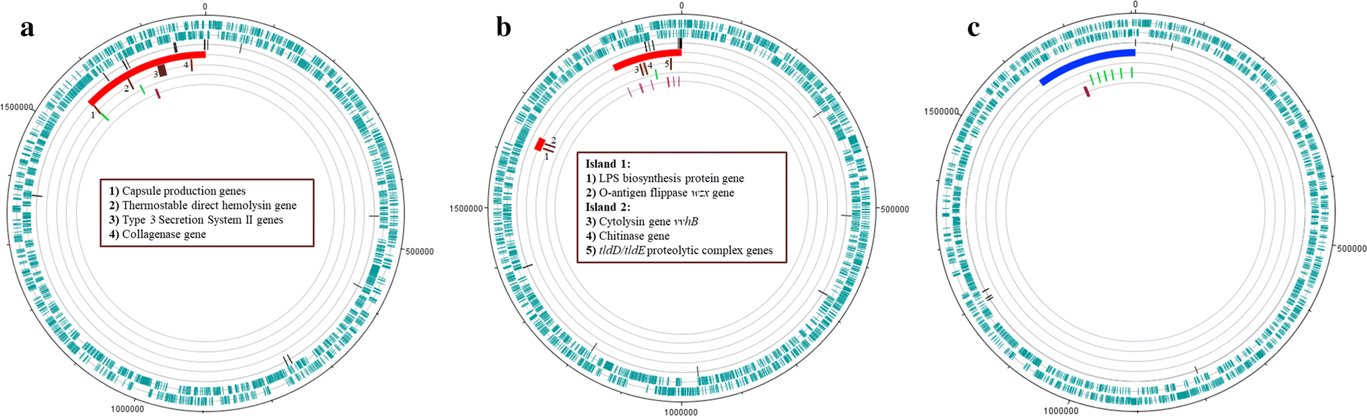 Fig. 1