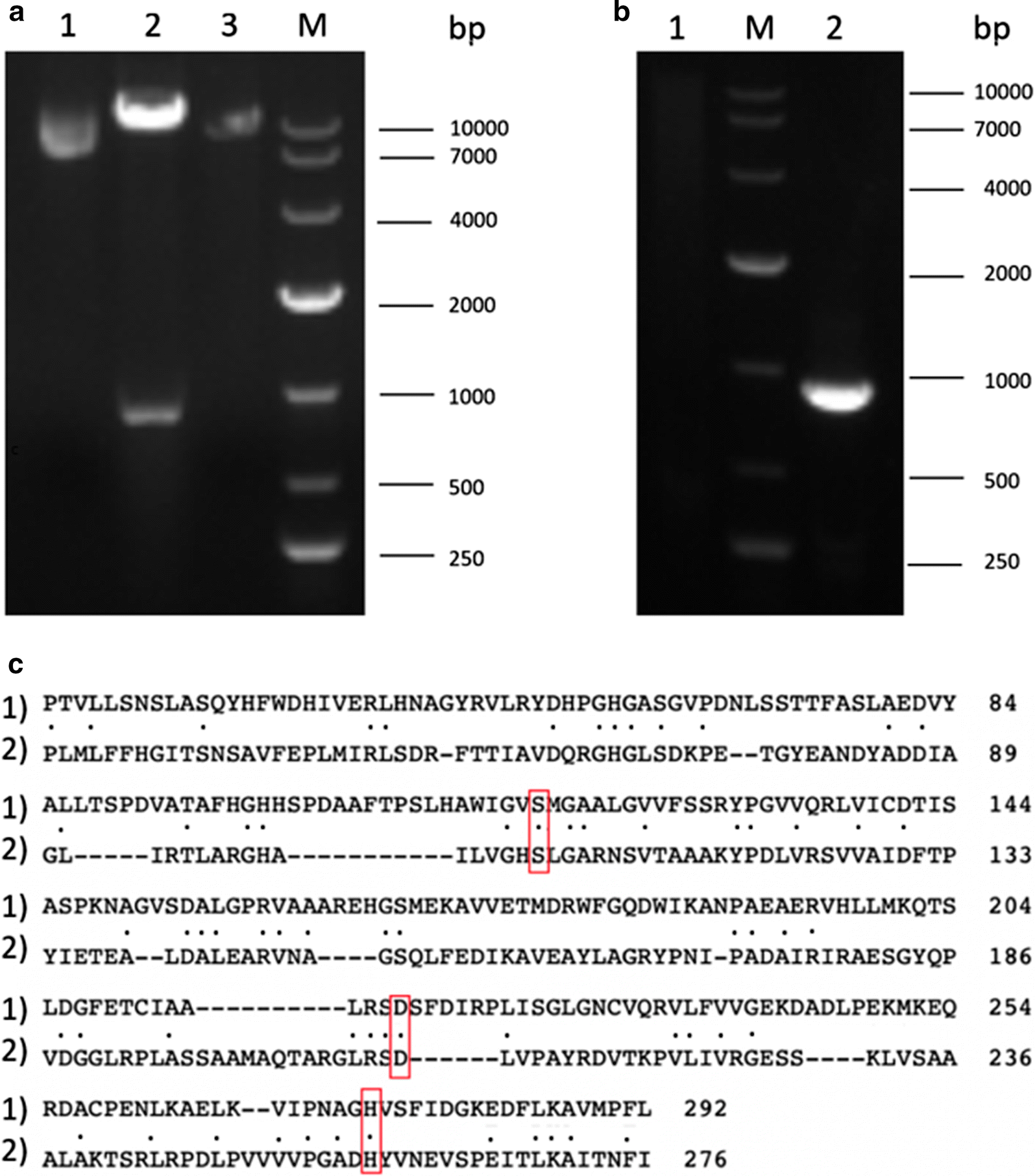 Fig. 1