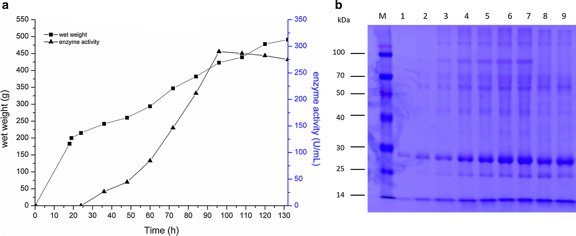 Fig. 3