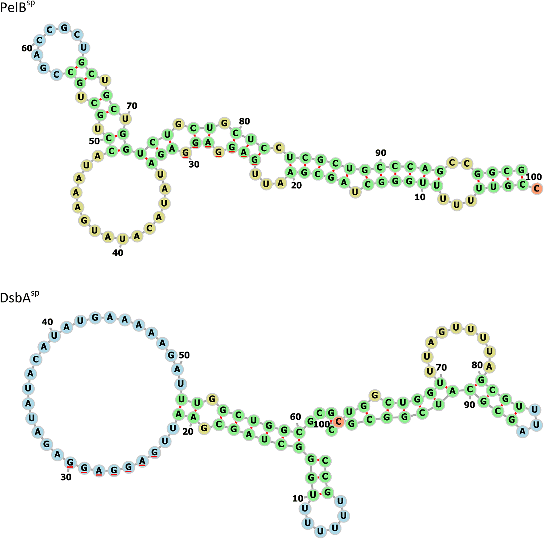 Fig. 8