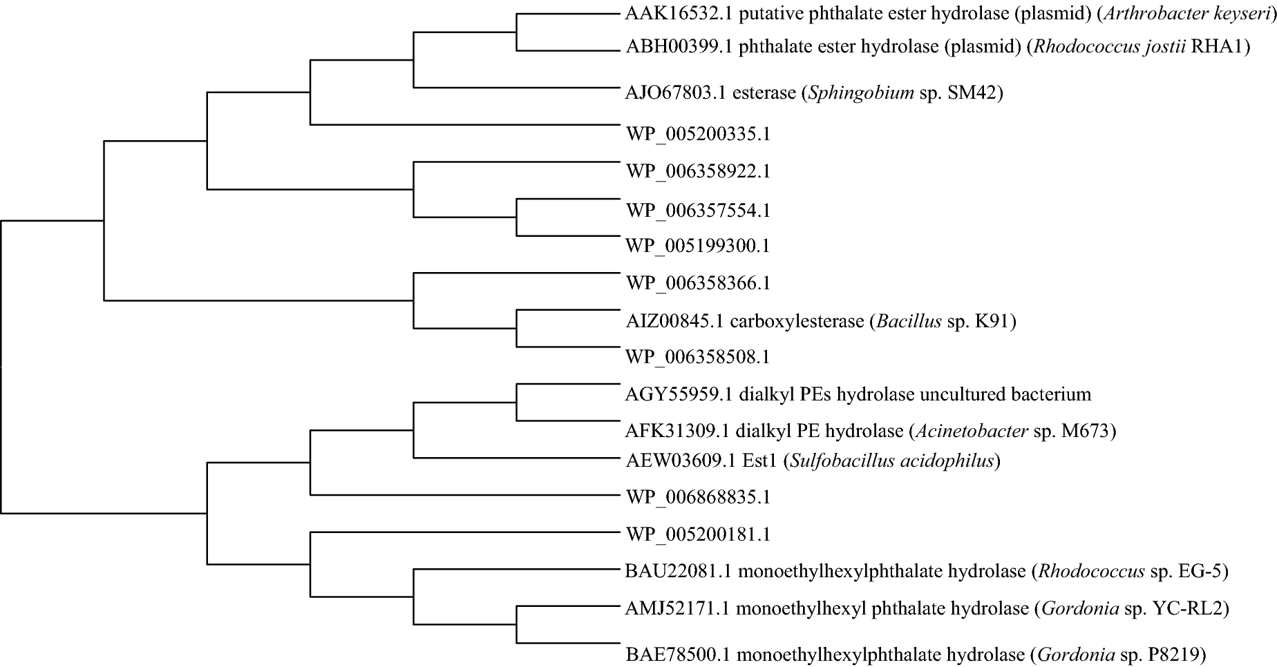 Fig. 4