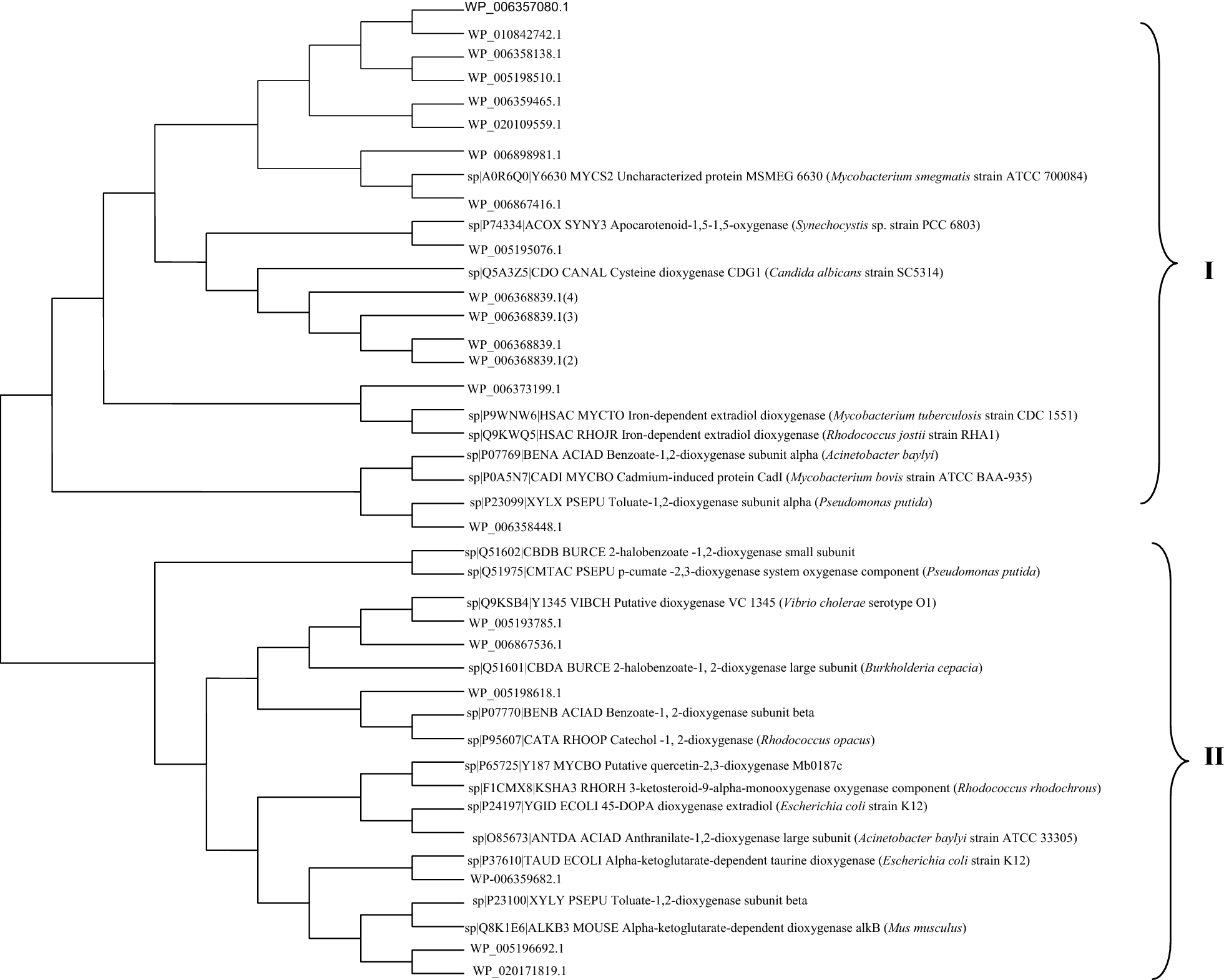 Fig. 6