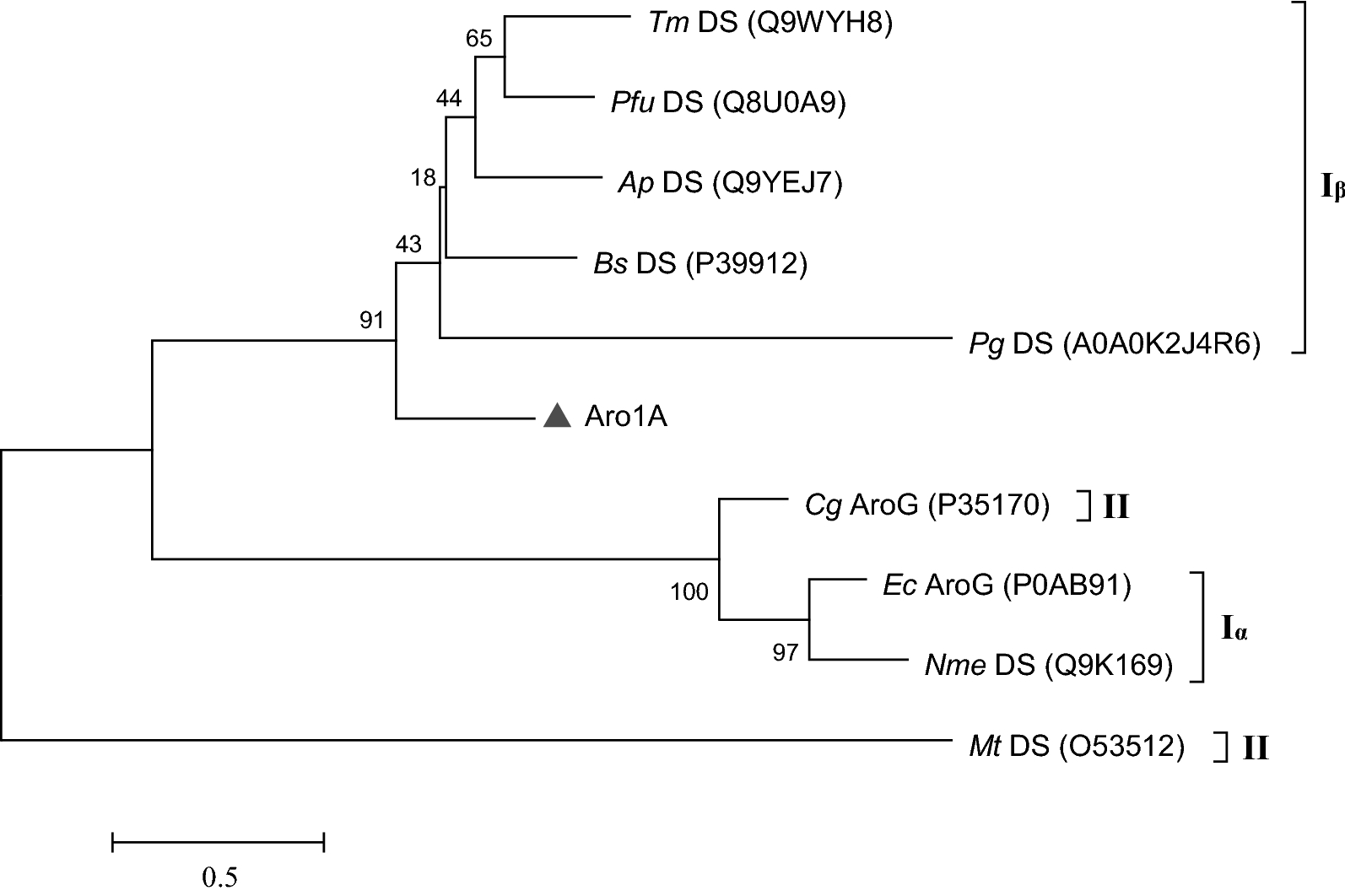 Fig. 1