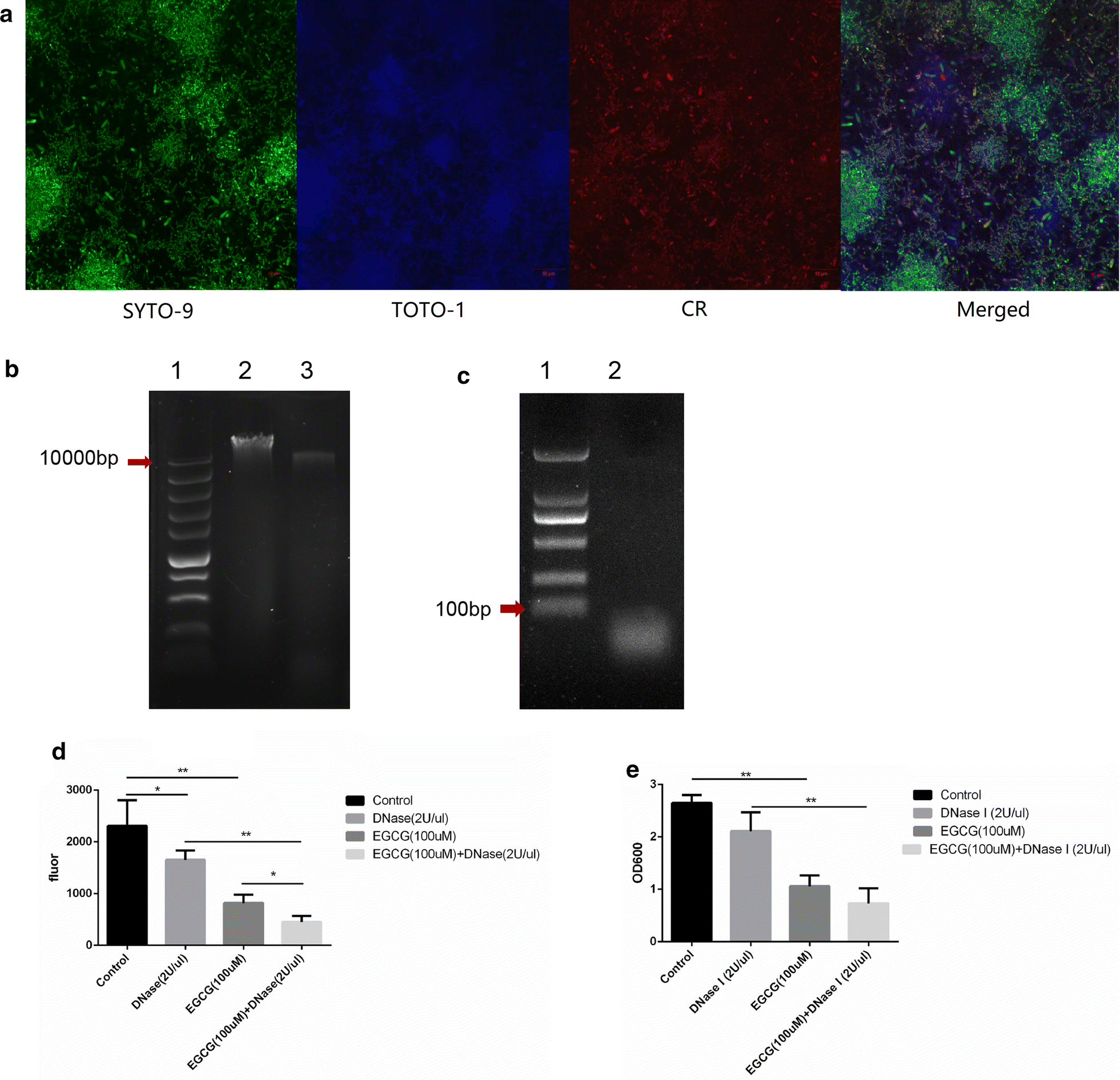 Fig. 6