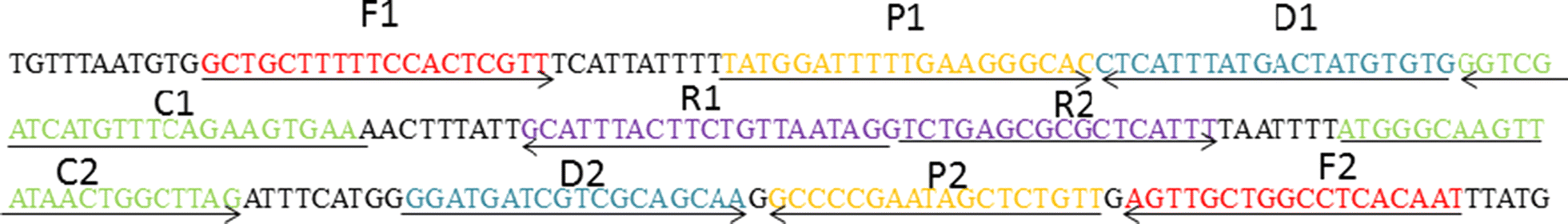 Fig. 1