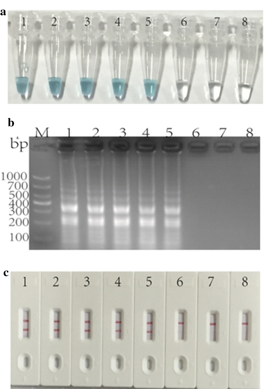 Fig. 4