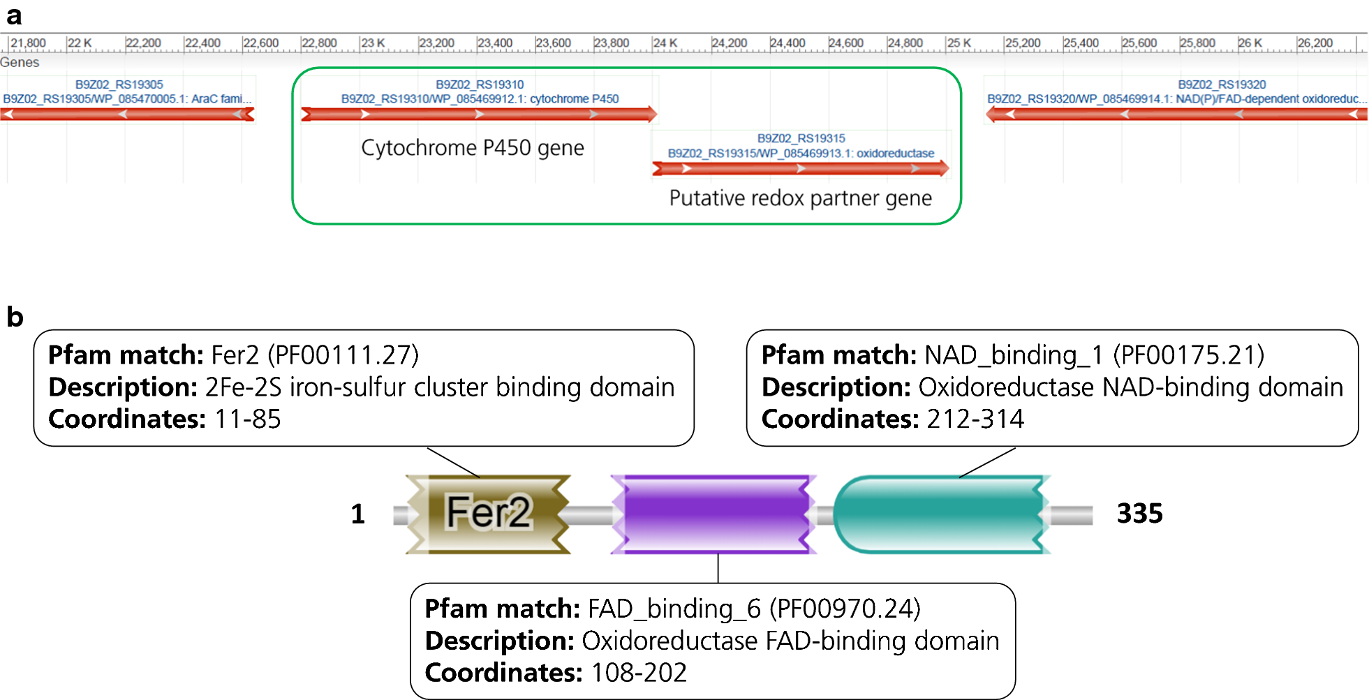 Fig. 3