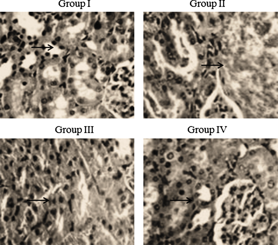 Fig. 4