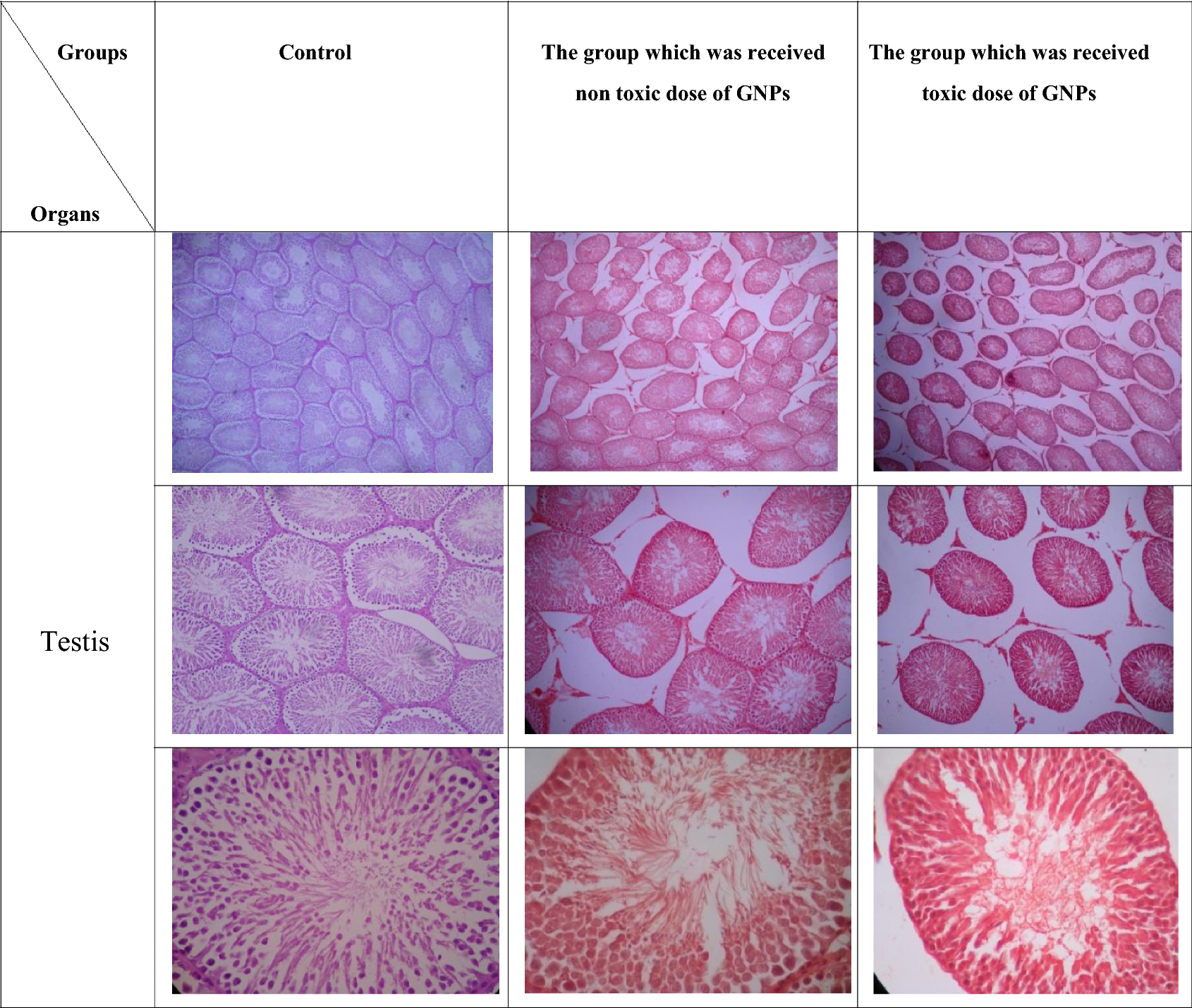 Fig. 7