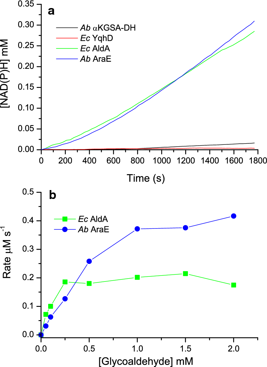 Fig. 7