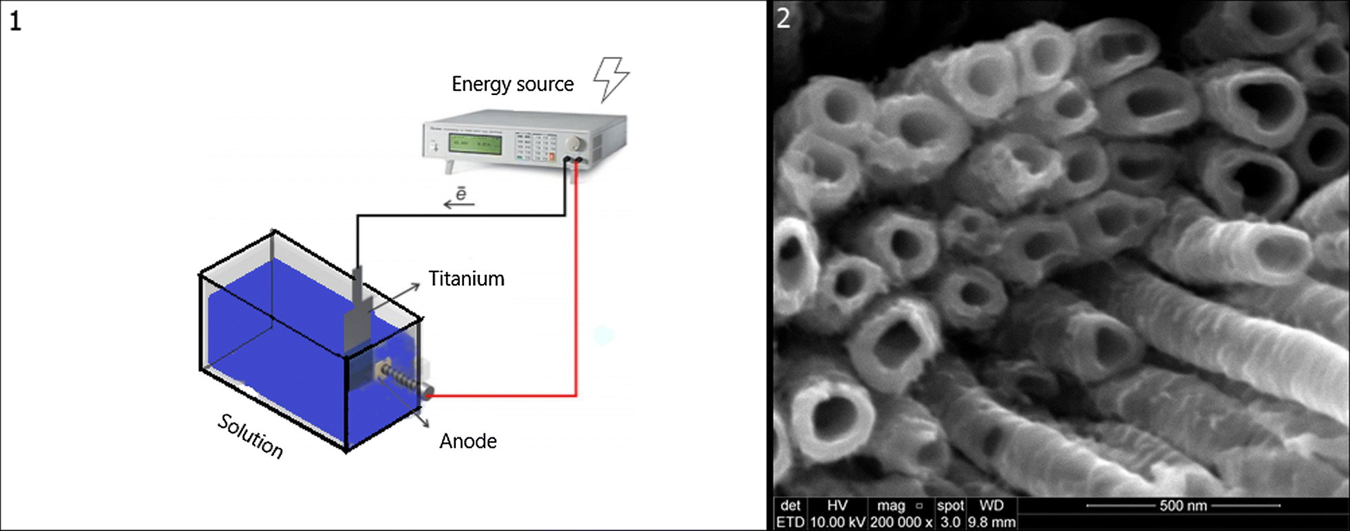 Fig. 1