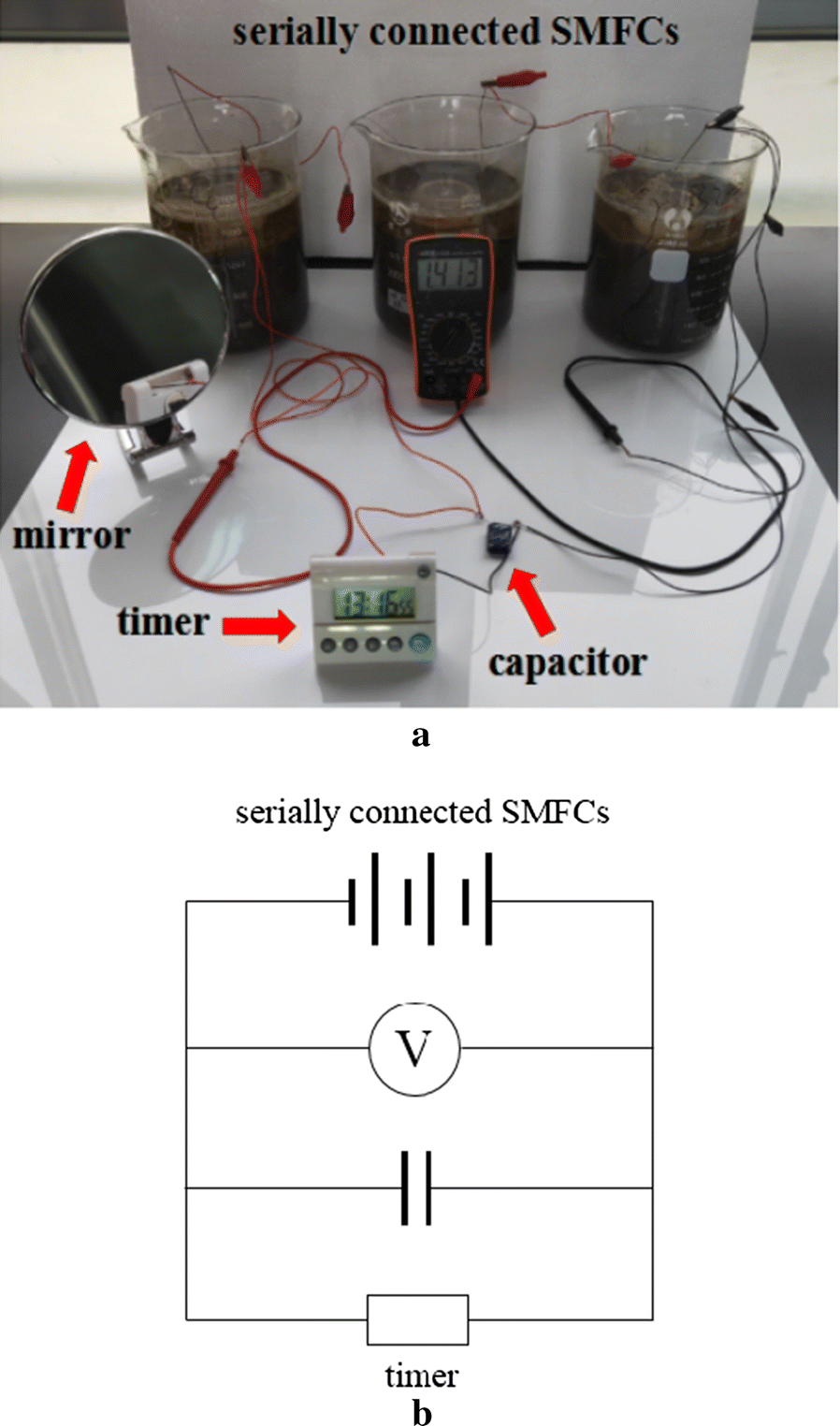 Fig. 1