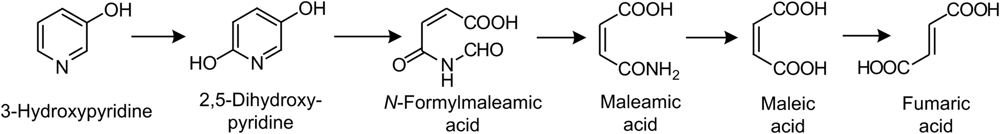 Fig. 8