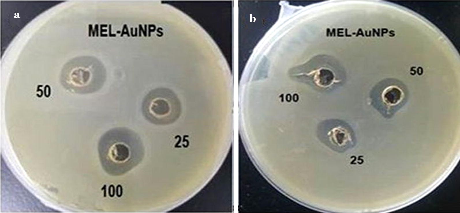 Fig. 5