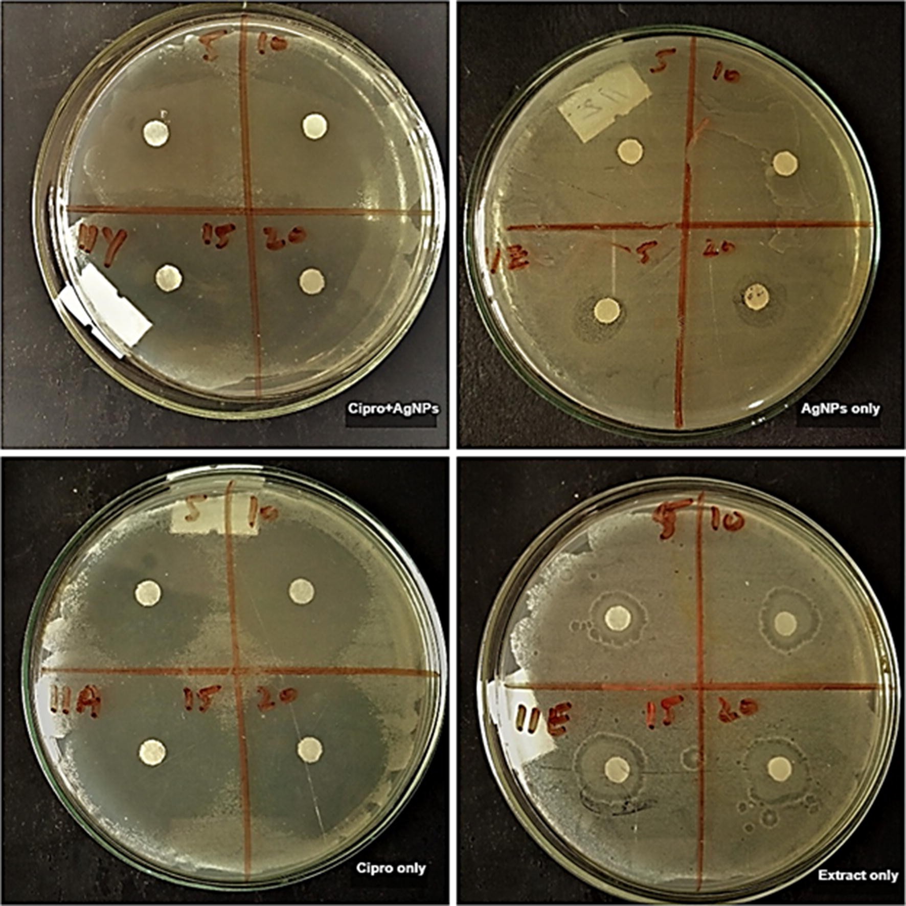 Fig. 7