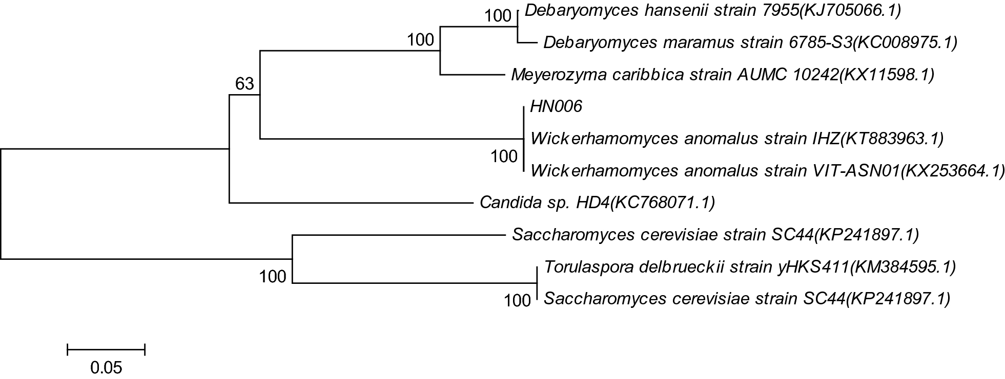 Fig. 1