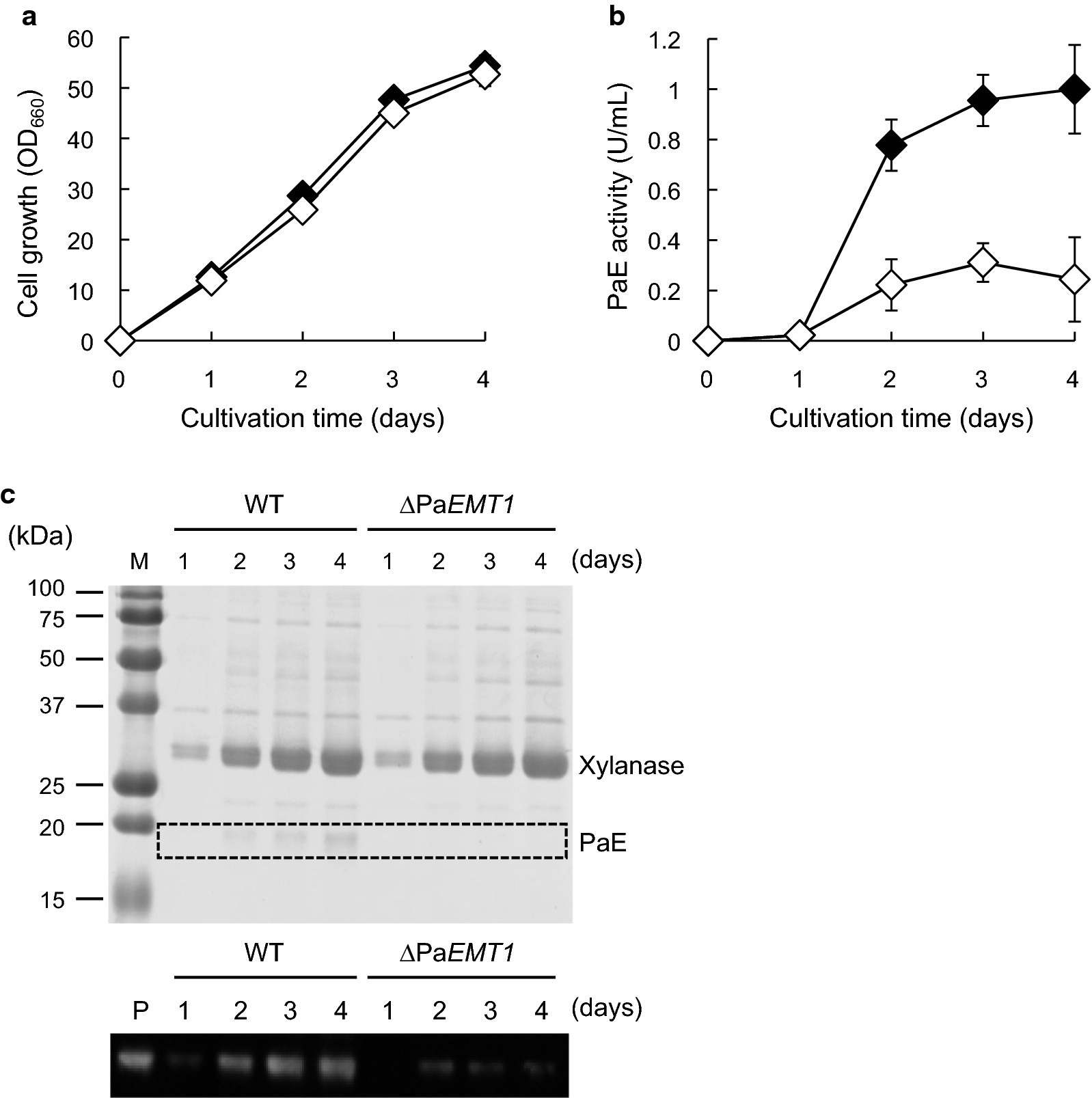 Fig. 2