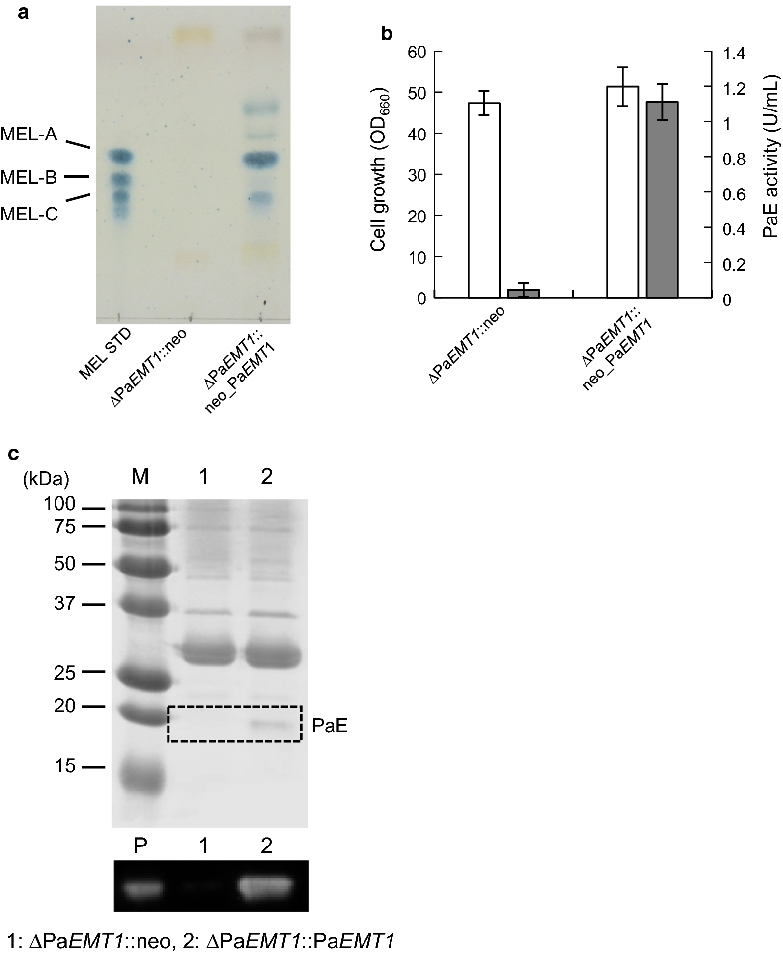 Fig. 3