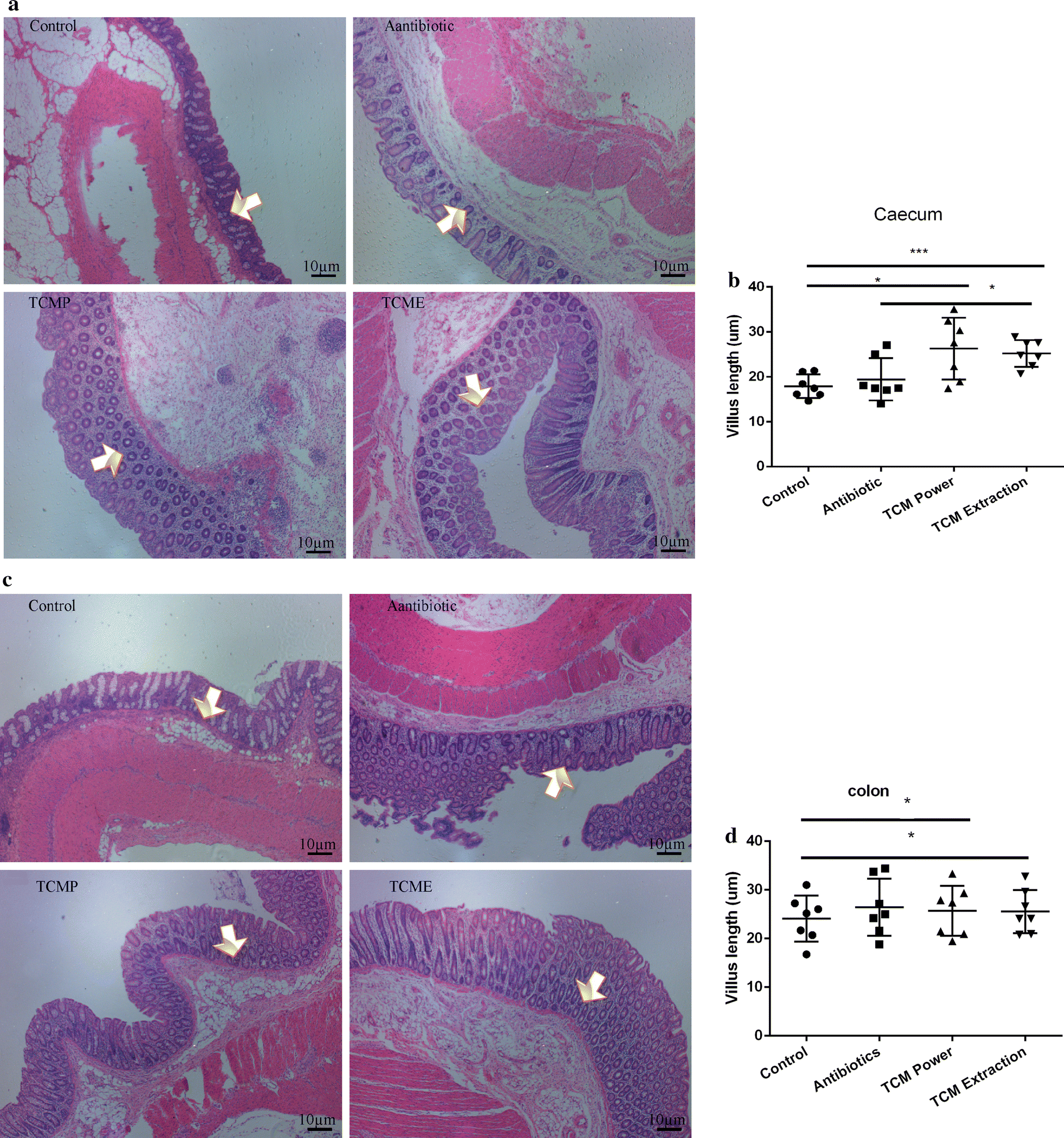 Fig. 4