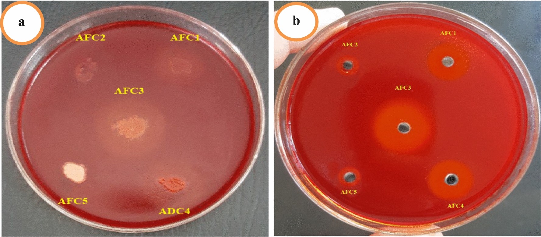 Fig. 2