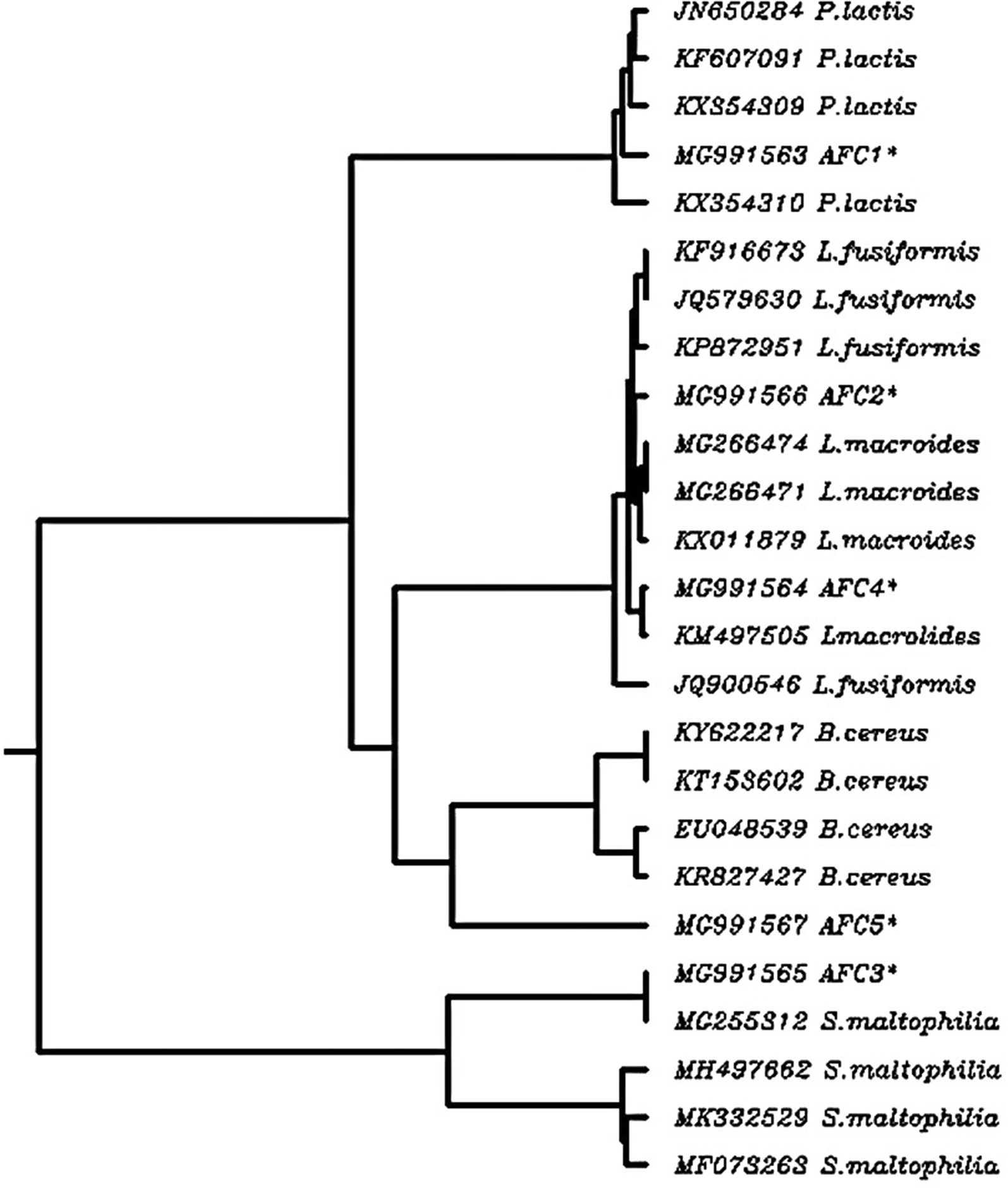 Fig. 4