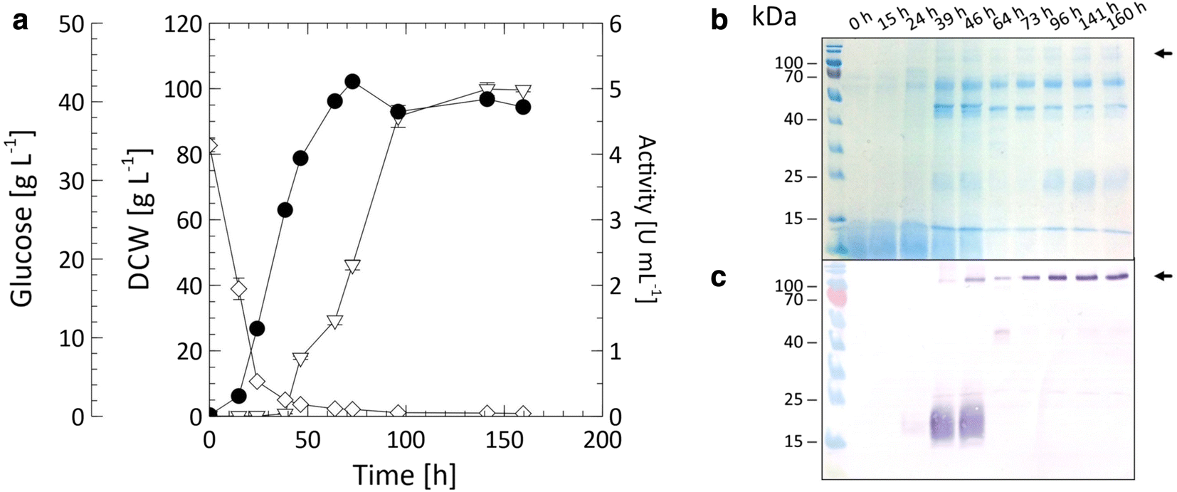 Fig. 6