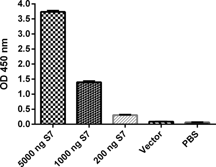 Fig. 5