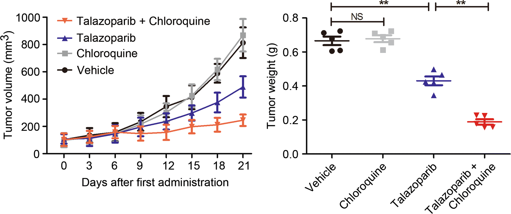 Fig. 7