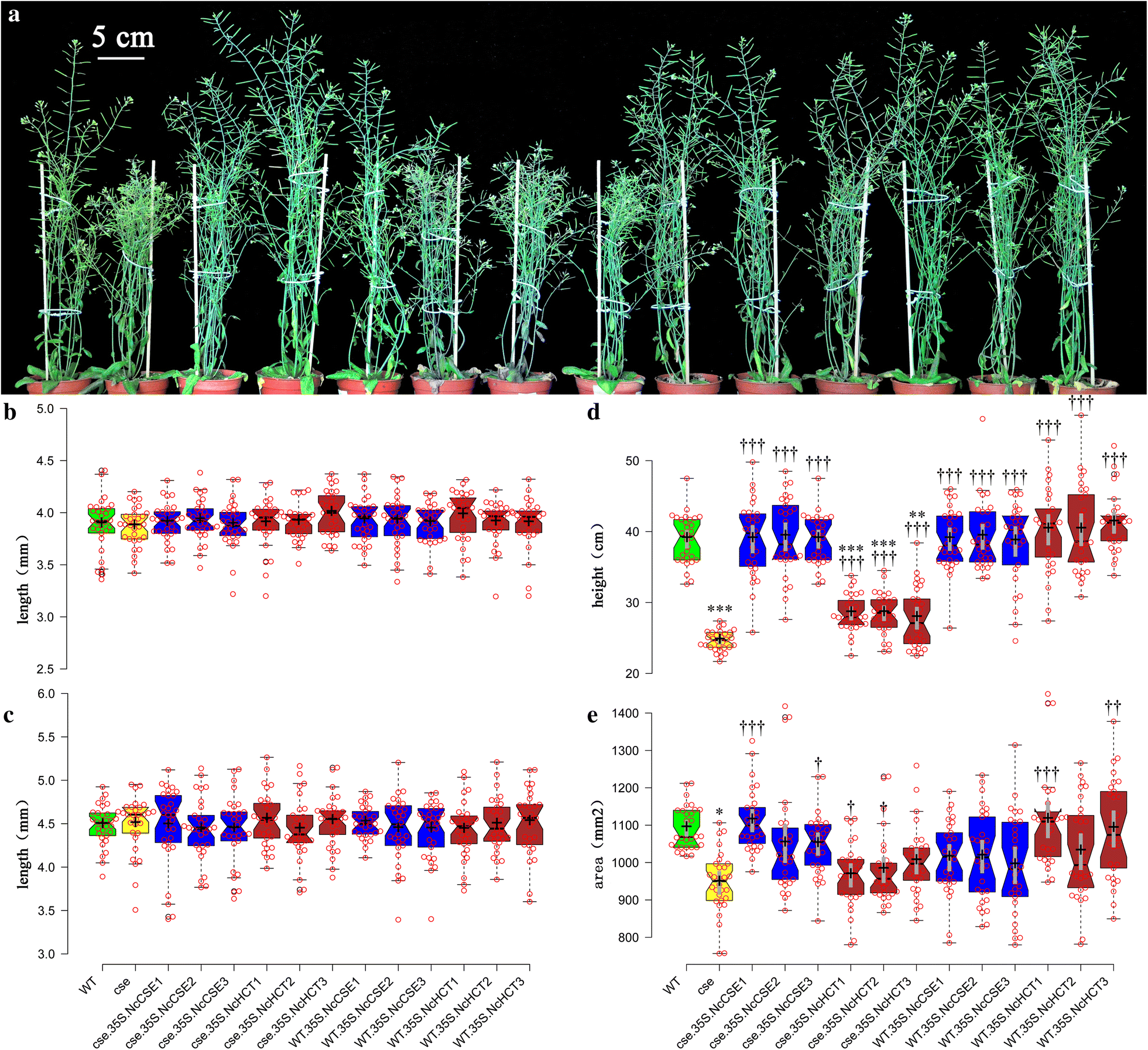 Fig. 3