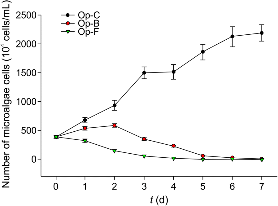 Fig. 5