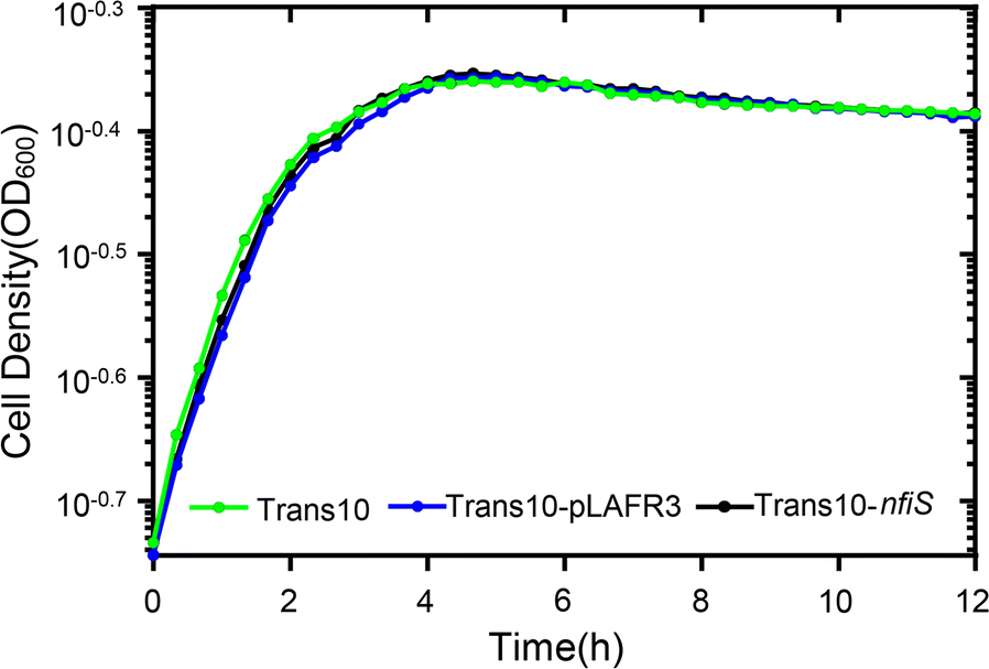 Fig. 2