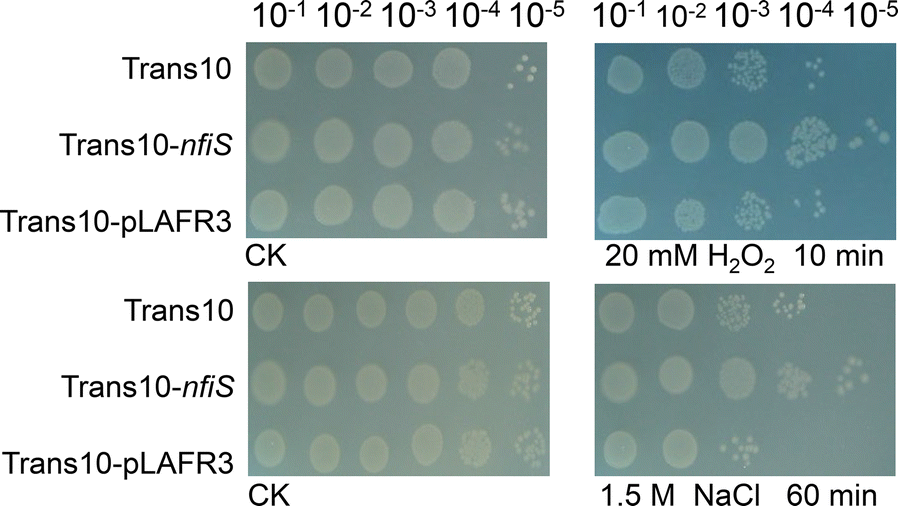 Fig. 3